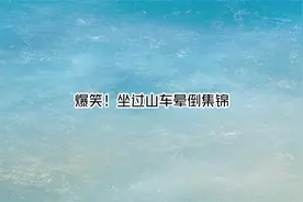 爆笑！坐过山车晕倒集锦【转载】视频封面