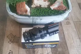 机械瞄准与光学4倍镜一体的武器，可远观可近战？实物评测视频封面