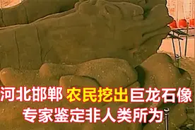 河北邯郸农民建房挖出巨龙石像，专家调查发现并非人类所为视频封面
