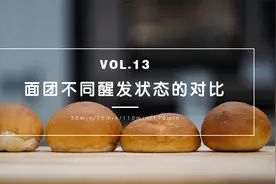 面团不同醒发状态的对比 | 连所反应VOL.13视频封面