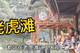 在宁波雅戈尔动物园看老虎，老虎滩人满为患，河对面有好几只老虎视频封面