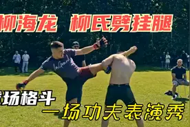 柳海龙“柳氏劈挂”腿惊现国外格斗拳拳到肉帅出天际的打斗场面视频封面