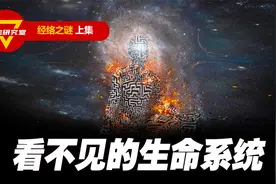 看不见的生命系统，能量之谜，你知道人体经络的秘密吗？视频封面