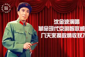 沈金波演唱革命现代京剧《智取威虎山》红色经典 历久弥新视频封面