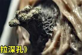 科学家发现远古真菌，不料惨遭感染寄生，身体长出恐怖肉瘤！惊悚视频封面