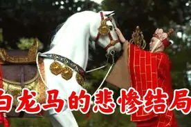 86版西游记的那匹白龙马，拍完戏去哪了？下场之惨令人心酸视频封面