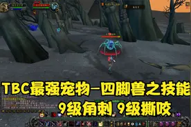 魔兽世界怀旧服：TBC猎人人气宠物四脚兽（9级角刺、9级撕咬）视频封面