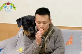这狗脾气太大了，连女主人都不放在眼里，你说是不是欠收拾视频封面