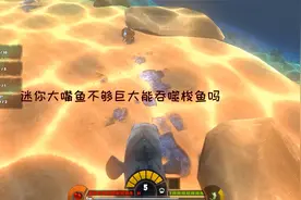 海底大猎杀：海鳗VS锤头鲨鱼！海鳗吞噬巨型螃蟹进化被秒杀视频封面