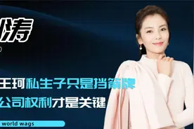刘涛王珂疑似婚变，私生子传闻只是挡箭牌，转让公司权利才是关键视频封面
