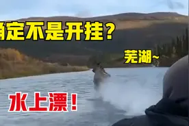 确定不是开挂？驼鹿过河施展"水上漂轻功"，如履平地快速超越船只视频封面