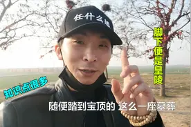 聊城唯一皇家陵墓，游客可以随便上下，站到坟头讲故事是什么感觉视频封面