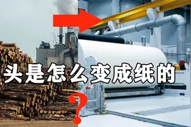 神奇，木头是怎样变成雪白的纸的？视频封面