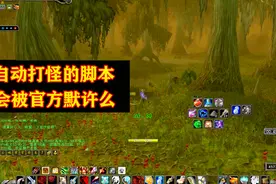 魔兽世界怀旧服：自动打怪的脚本会不会被允许长期存在视频封面