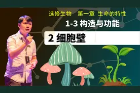 选修生物1-3.2 细胞壁视频封面