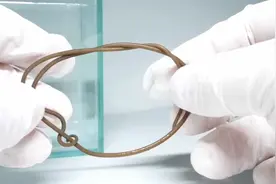 将铁线虫打结能否自行解开视频封面