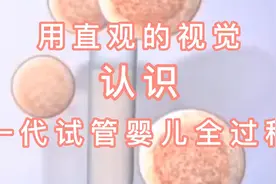 一分钟认识第一代试管婴儿全过程视频封面