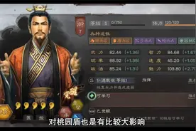 三国志战略版虚弱桃园盾战法推荐视频封面