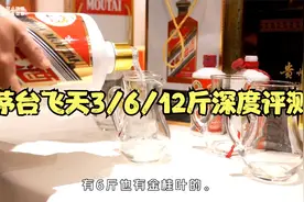 只需看10分钟，就能学习到茅台飞天3/6/12斤完整版信息。干货满满视频封面