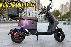 野生粉丝和他的极速破百的雅迪DE8，花费了1.5万，大家觉得值得吗视频封面