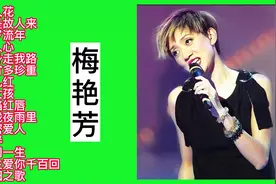 怀旧老情歌:梅艳芳经典歌曲15首联播视频封面