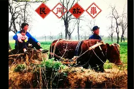 民间故事：老人养育一头猪18年，猪以特殊的方式报答恩情视频封面