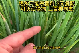 堪称万能杀菌剂，3元复配可防治锈病，上百种病害视频封面