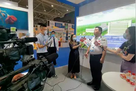 经纬辉开携辉开奇光S-LCD亮相深圳国际会展中心视频封面