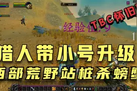 魔兽世界怀旧服：猎人带小号快速升级（西部荒野站桩升级）视频封面