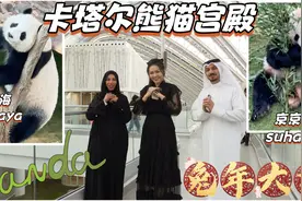 卡塔尔熊猫宫殿，国宝入住土豪国新家，第一次在海外过年 太萌了视频封面