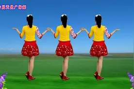 老歌广场舞《花蝴蝶》零基础步伐，跟着就会跳，老人小孩都喜欢视频封面
