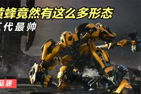 盘点变形金刚中大黄蜂的各种车型 第五代最帅气 既觉得哪种更好看视频封面