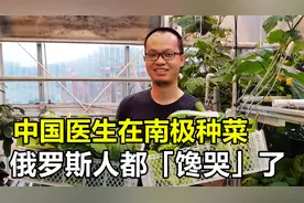 中国医生在南极种菜，把俄罗斯人“馋哭”了，种菜也需要天赋？视频封面