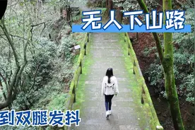 上山三分钟分钟，下山三小时，暴走张家界无人山路是什么感觉视频封面
