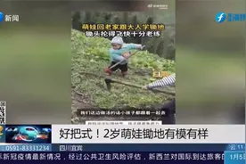 2岁萌娃接受劳动教育启蒙，锄头抡得飞快，干活相当熟练视频封面