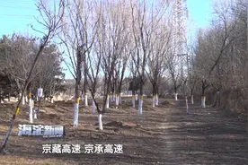 北清路将架起串联海淀昌平快速路视频封面