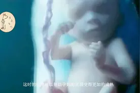 孕期肚子发硬，主要跟这两个原因有关，其中一个是胎宝在“抗议”视频封面
