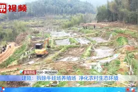 蚊虫飞舞恶臭扑鼻！牛蛙养殖场违规圈地，部门出击拆除督促复耕视频封面
