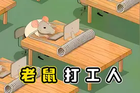 老鼠也不容易，上班打工996，比人类还要苦视频封面