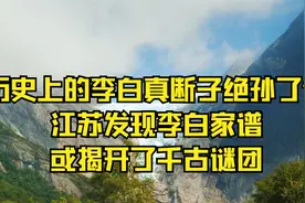 历史上的李白真断子绝孙了？江苏发现李白家谱，或揭开了千古谜团视频封面