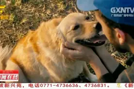 狂犬疫苗“一针难求”？广西疾控中心：疫苗短缺情况已得到缓解视频封面