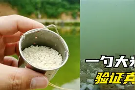 验证丁香与桂皮诱鱼的真实效果，用大米打窝对比，结果与判断一致视频封面