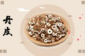 丹皮的主要功效和作用是什么？老中医科普视频封面