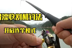 使用矶竿滑漂收割机钓法，一直处在鲤鱼连竿模式