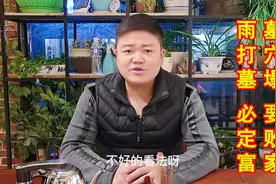 农村俗语：“雨淋墓，必定富；墓穴塌，要败家”是真的吗？胡扯视频封面
