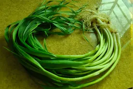 湛江有一道菜叫腌蒜苗，简单快速，比吃大鱼大肉过瘾，你吃过吗？视频封面