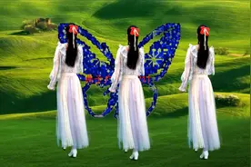 10年前网络歌曲《花蝴蝶》你还记得吗？熟悉的旋律，满满的爱视频封面