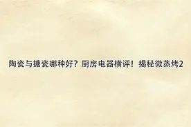 陶瓷与搪瓷哪种好？厨房电器横评！揭秘微蒸烤2【转载】视频封面