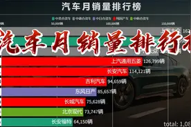 汽车月销量排行榜，谁是真正的国货之光？比亚迪？你认为会是谁？视频封面