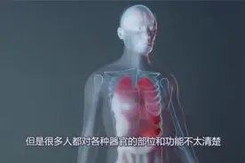 最逼真的女性身体博物馆，走进女巨人身体，网友：这处地视频封面